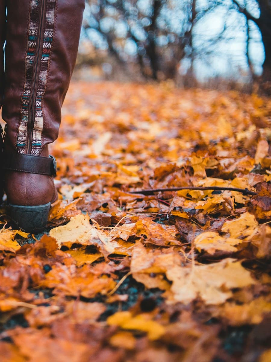 کالکشن پاییز و زمستان