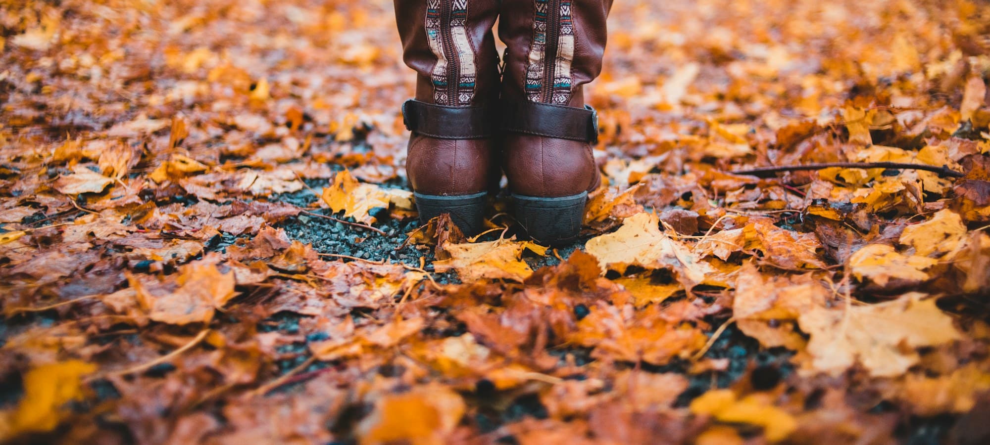 کالکشن پاییز و زمستان