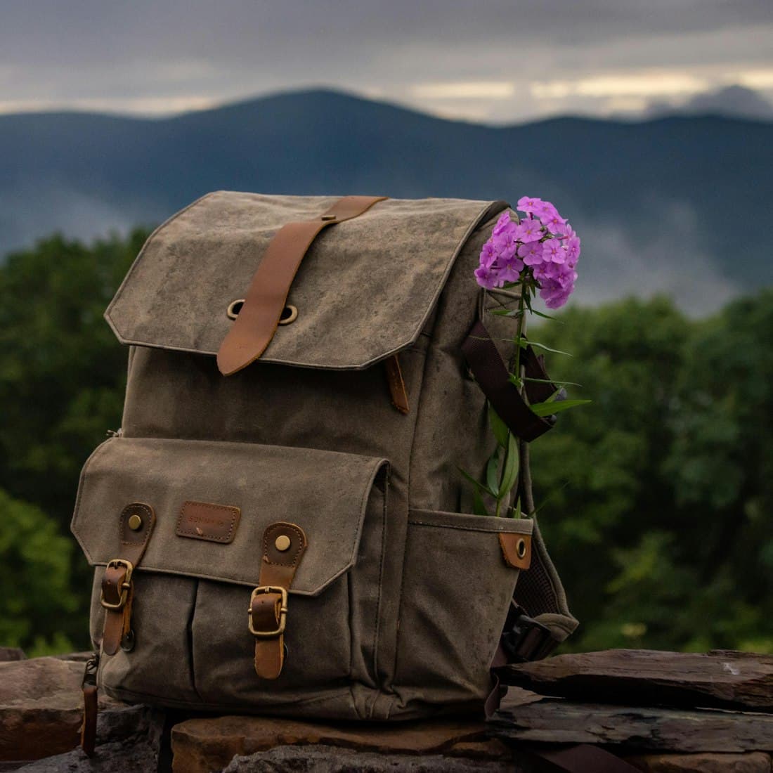 brown leather backpack on brown wooden log