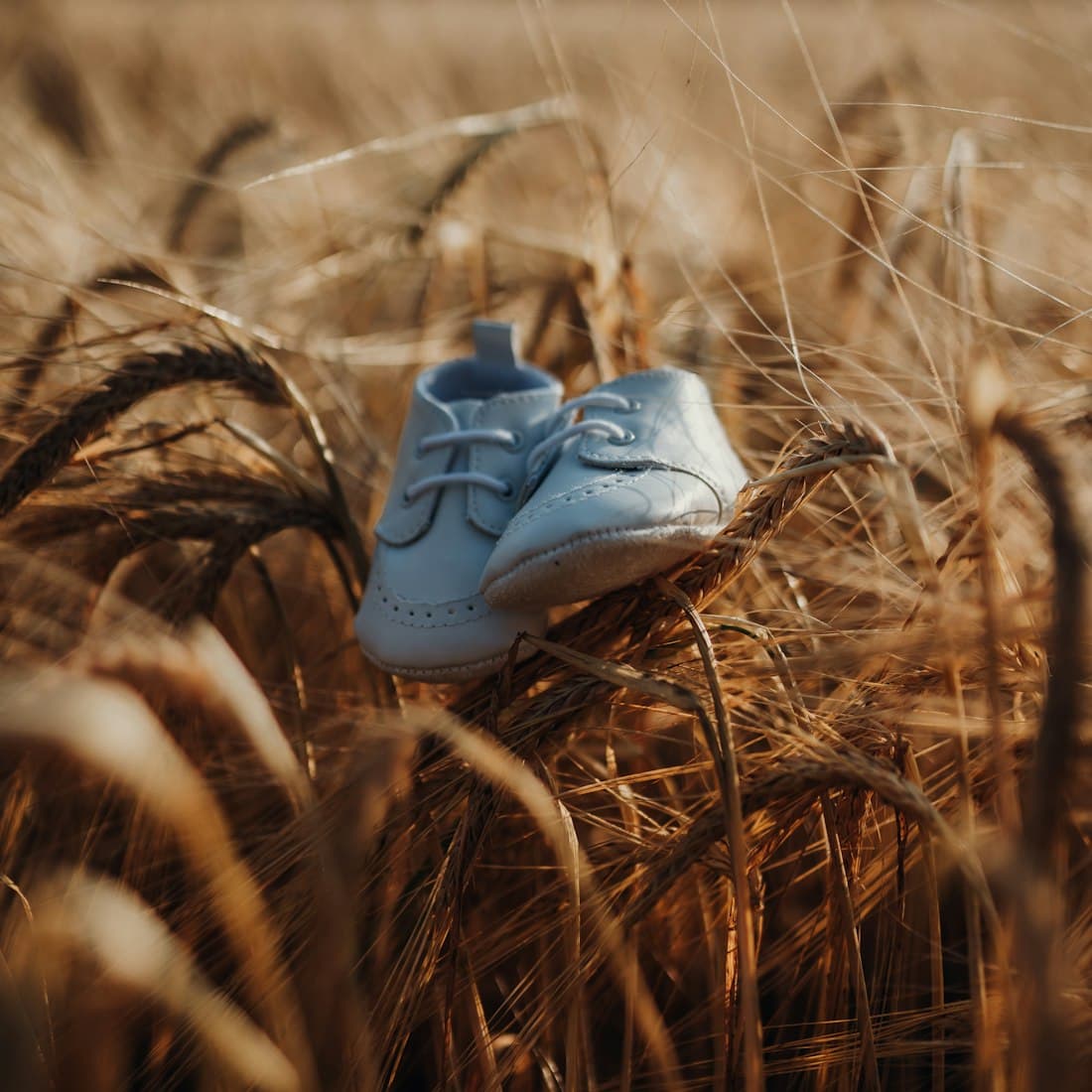 closeup photo of white shoes