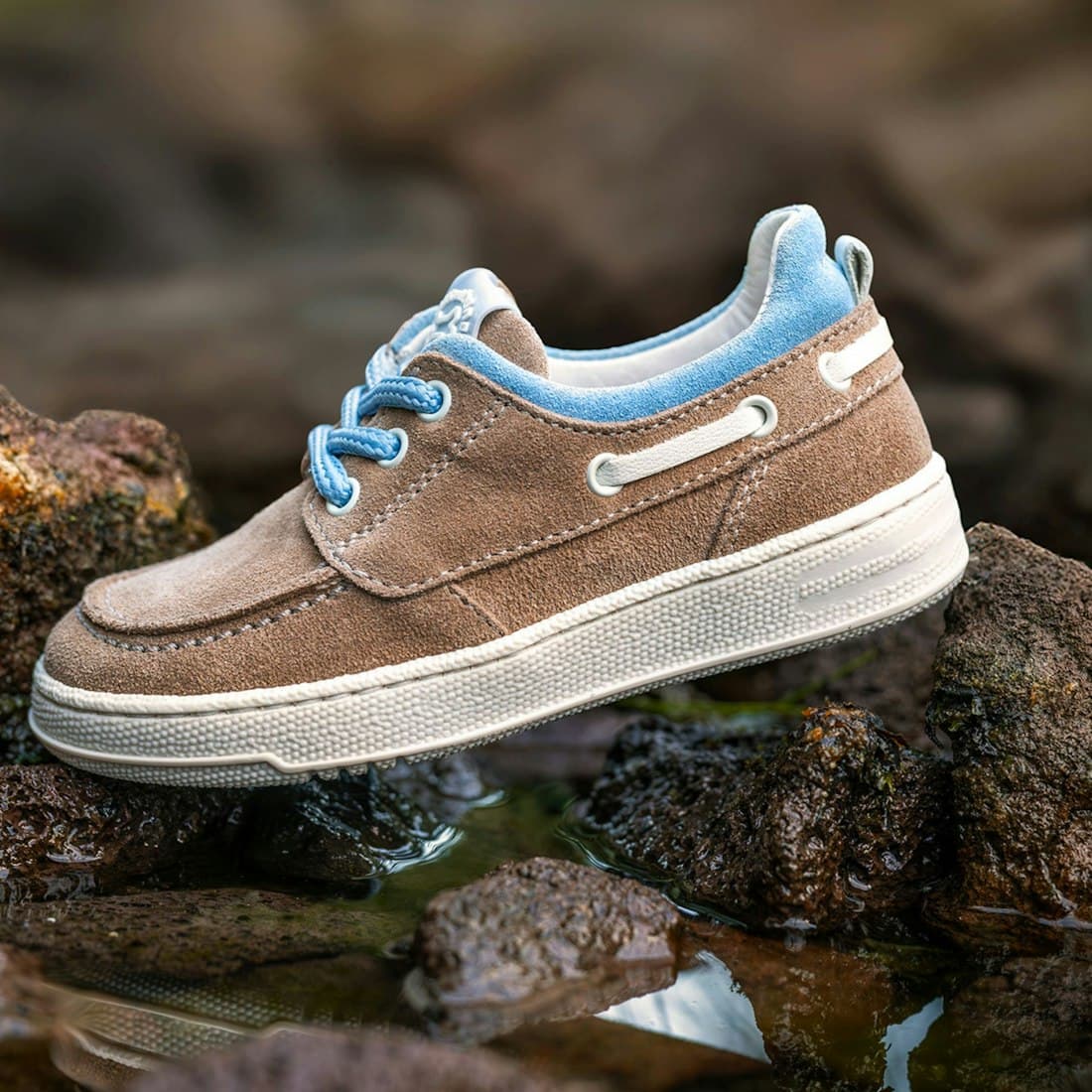 A brown and blue shoe rests on rocks