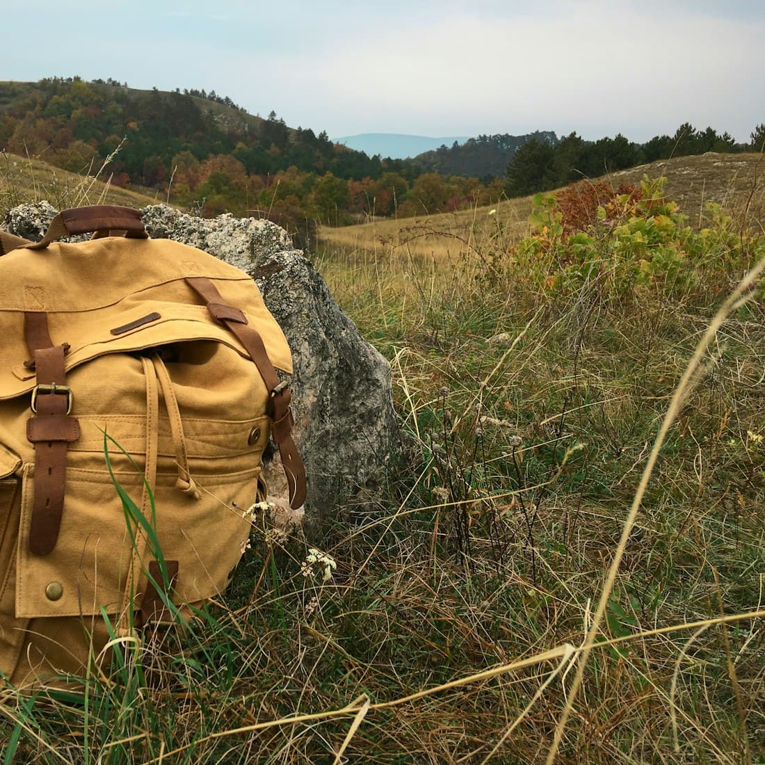 brown backpack on green grass field